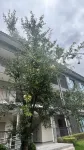 Lianghe Yinlan Hot Springs Homestay