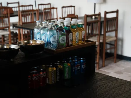 Tingbo Ziyi Hotel (Kanas) Отели рядом с достопримечательностью «Genghis Khan Point Sets»