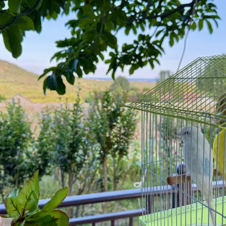 Banshan Xianshe Homestay