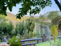 Banshan Xianshe Homestay - Mountain view