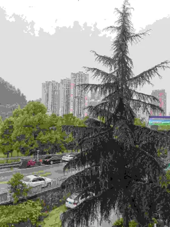 Aiju Business Hotel Отели рядом с достопримечательностью «Chongqing Vocational Institute of Tourism»