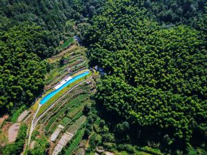 Xinchang Shangshitang Tianmu Mountain Residence