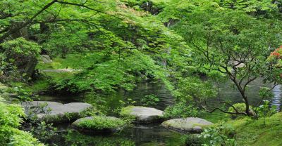 ホテル周辺 箱根湯本温泉 吉池旅館の写真