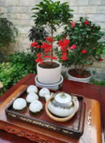 Xinghua Qiandao Caihua Aishang Nongjiale