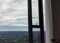 Holiday Inn LUZHOU LONGJIAN by IHG - วิว