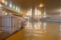 霧島國際酒店 - SPA