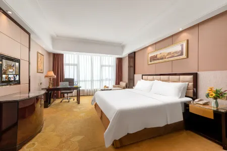 Vienna International Hotel (Zhongshan North Railway Station Port)