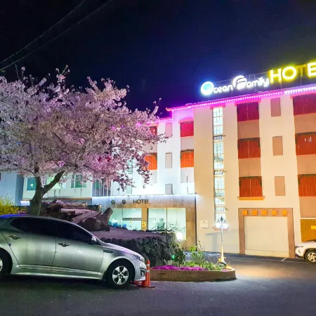 Jeju Ocean Family Hotel Отели рядом с достопримечательностью «Храм Хэсунса»