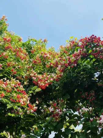 Xuwen Haiquan Homestay Отели рядом с достопримечательностью «South Pole Village»