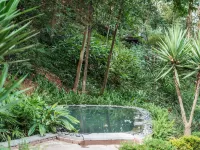 Qingcheng Mountain Just on the Stream · Mountain Stream Bamboo Forest Private Soup B&B - Water Park