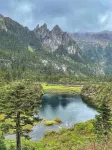 維西リス族自治県蘭韻茶居民宿