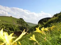 Huitengxile Grassland Mengle Homestay