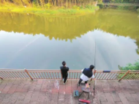 Bo Wang Mountain Longquan Lake resort