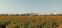Longrui Hotel