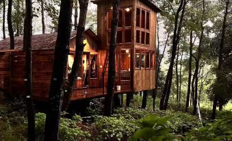 Duck Farm · The Lodge In Woods