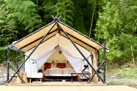 Panda‘s forest homestay