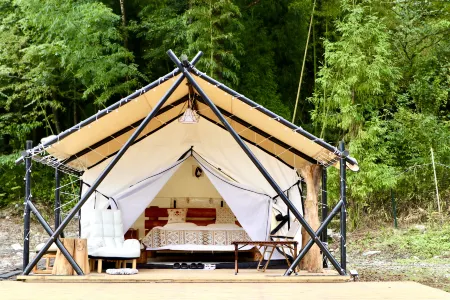 Panda‘s forest homestay