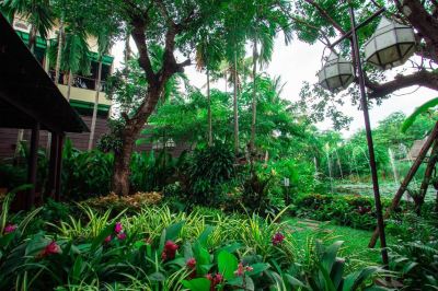 共有エリア ヴィアン ターペー リゾートの写真