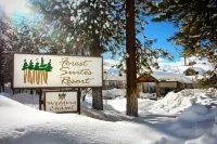 Forest Suites Resort at the Heavenly Village