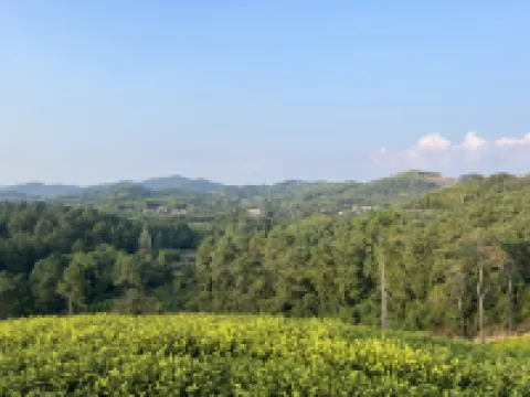 Floral Hotel·Yamama Micro Cloud Natural Healing Holiday Hotel