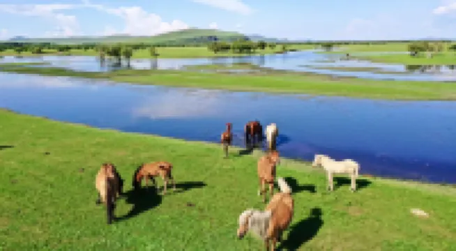 Hulunbuir Erguna Grassland Tribe B&B