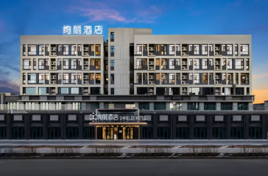 Brilliant Hotel (Urumqi South Station Dehui Wanda Plaza Branch) Отели рядом со станцией Wulumuqi South Railway Station