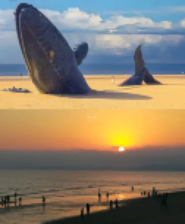 Yantai Haimian Apartment