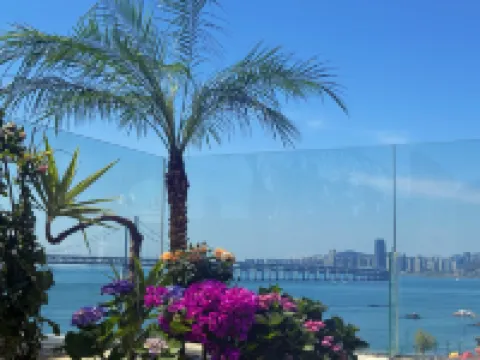 傾松·雅居（大連星海廣場店） 酒店