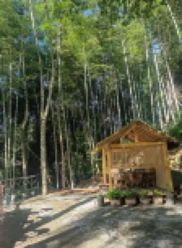 神農谷逸清溪谷客棧