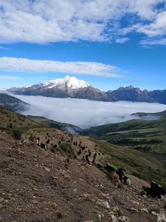 Litang Munuan Homestay (Zebacun) Отели рядом с достопримечательностью «Xiazetong Village»