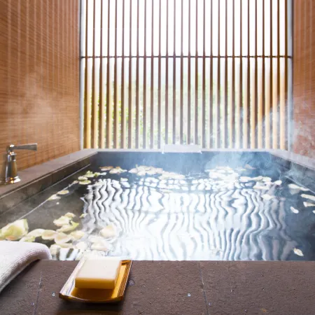 Chongqing Nanzhong Hot Spring Hotel