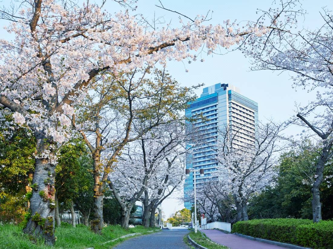 ハイアット リージェンシー 大阪 大阪 を宿泊予約 22年安い料金プラン 口コミ 部屋写真 Trip Com ハイアット リージェンシー 大阪 大阪 を宿泊予約 22年安い料金プラン 口コミ 部屋写真 Trip Com