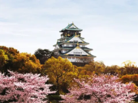 大阪天王寺 都城市飯店 大阪住宿飯店