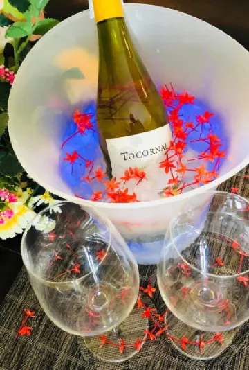 礁石海灘度假村