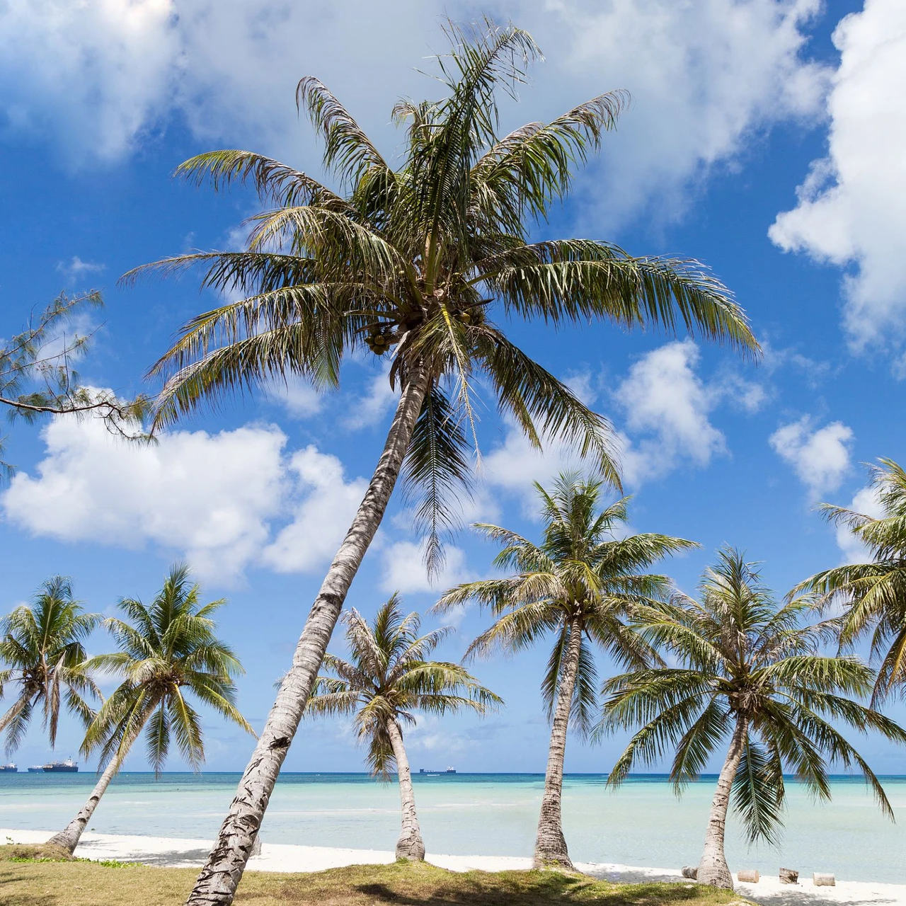 <h1>Hôtels à Baie de Yalong Sanya</h1>