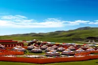 Wenjia Starry Secret Realm Hotel