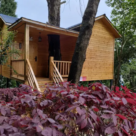 Yu Laoxiangqin Homestay