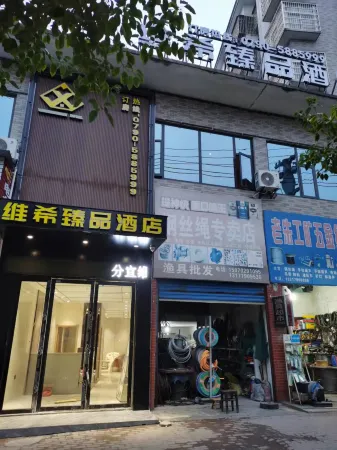 Fenyi Weixi Yipin Hotel Отели в г. Фэньи