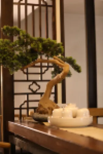 Zhenyuan Diezhuang Youyi Nan'an Homestay