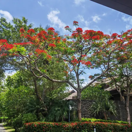 Bokeyue Club Holiday Villa