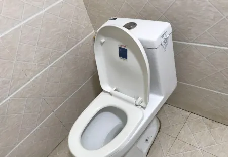 Pengzhou Xinyu Chinese Inn Отели рядом с достопримечательностью «Shushui Hexiang»