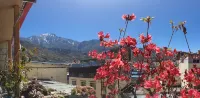 Qihang Theme hotel