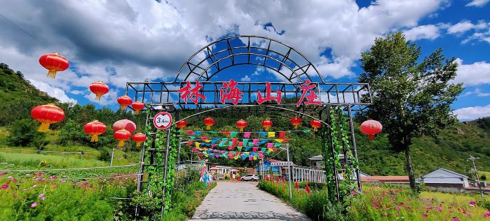 Linhai Hotel Hotels in Weichang