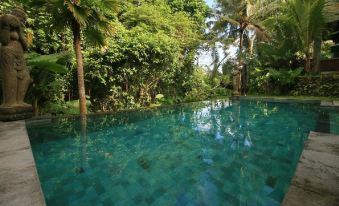 Villa Ubud Sunshine