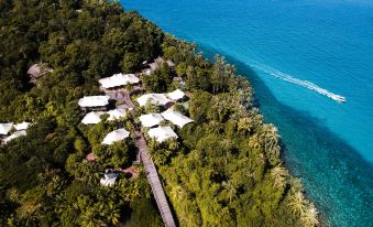 aerial view of a tropical island with palm trees , houses , and the ocean in the background at Soneva Kiri