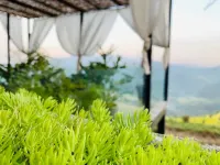 Wenzhou Jinli Yunshe Inn
