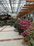 Macheng Jincheng Restaurant
