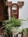 Zijin Yuji Homestay
