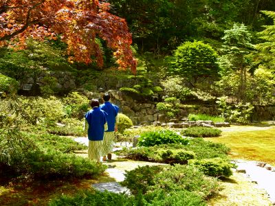 庭 第一滝本館の写真