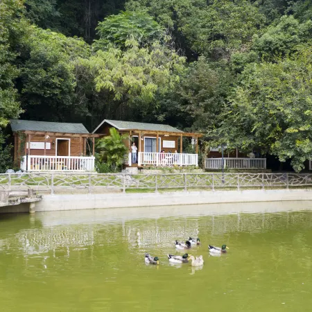 Yingde Fenglin Moke Homestay